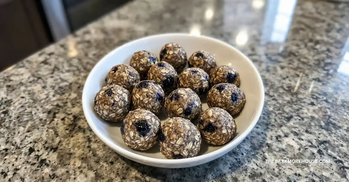 Blueberry Oat Bites